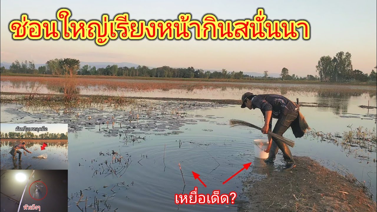เรียงหน้ากิน!!ปักเบ็ดนาน้ำท่วมด้วยเหยื่อลูกปลาครั้งแรกไม่คิดเลยว่าจะได้ผลดีเกินคาดขนาดนี้