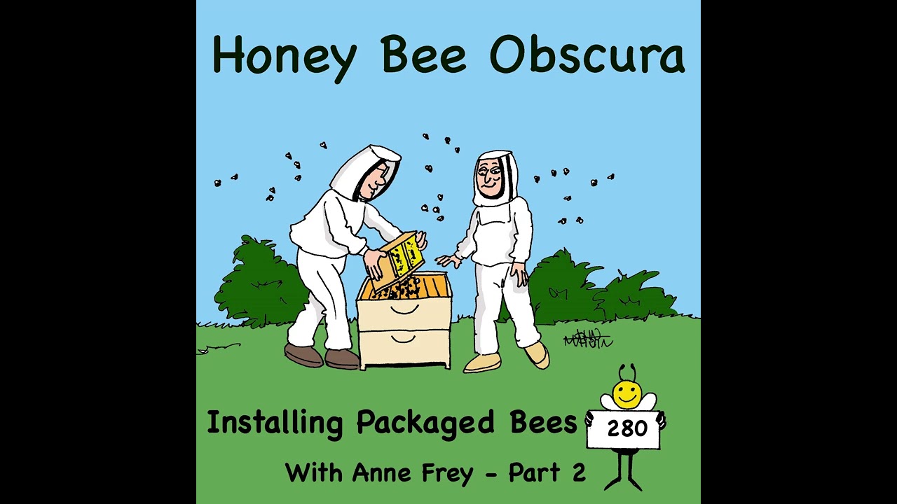 Installing Packaged Bees with Anne Frey, Part 2 (280)