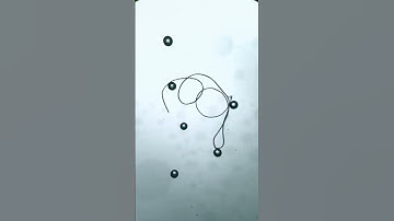 Tap water under a microscope / Вода из под крана под микроскопом #macros #macro_captures #micro