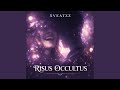 Risus Occultus