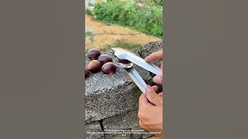 Easy chestnut opening: how a good tool can improve efficiency