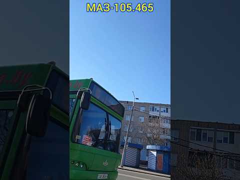 Редкость! МАЗ-105.465 по