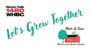 Let's Grow Together