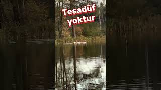 Hakikat Ilimi, Berrak Ahiler