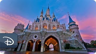 #DisneyParksLIVE: Sunrise at Magic Kingdom | Walt Disney World