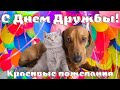 День Дружбы! Красивые пожелания с Днем Дружбы! Хорошего Дня и Отличного настроения!