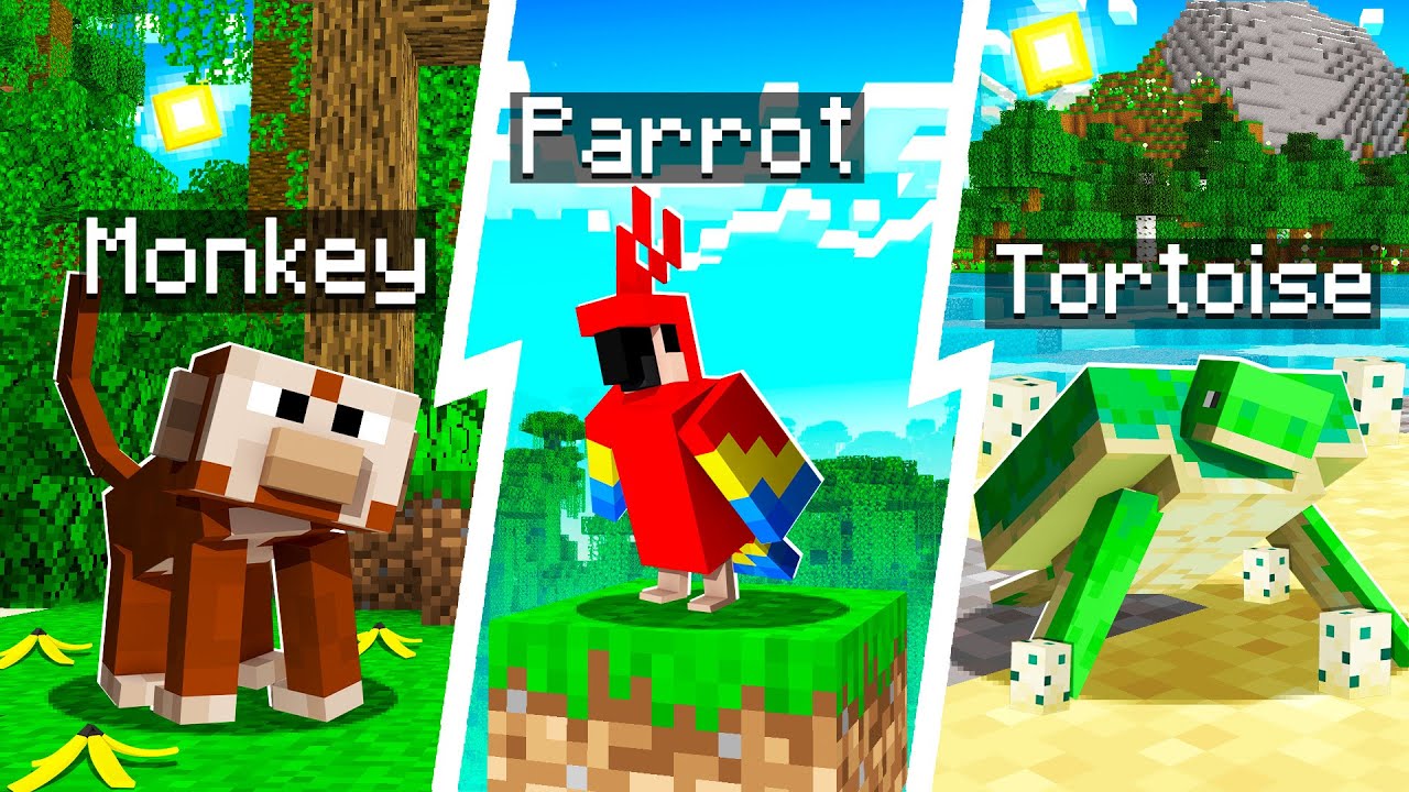 Taming ISLAND PETS in MINECRAFT!