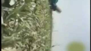 Funny Video - Sky Diver Nails Cameraman