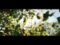 UE4 SpeedTree - First Tree Test