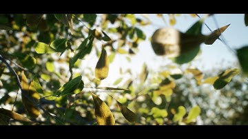 UE4 SpeedTree  -  First Tree Test