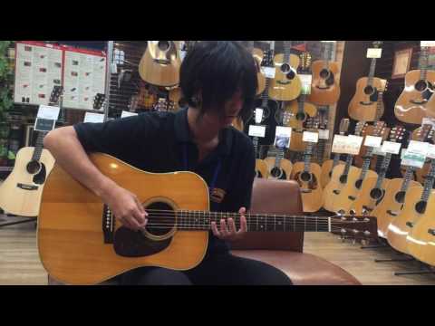 (24730) Martin D-28 1964