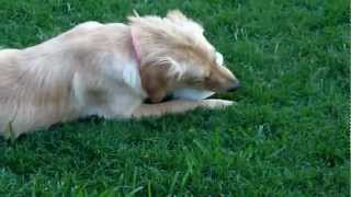 20120512_183711.m2ts