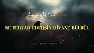 Ne Feryad Edersin Divane Bülbül / Anatolian Rock Cover Türkiye Resimi