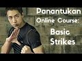 Panantukan OLC: Basic Strikes