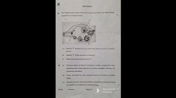 CLASS 12 BIOLOGY 2023 CBSE BOARD QUESTION PAPER