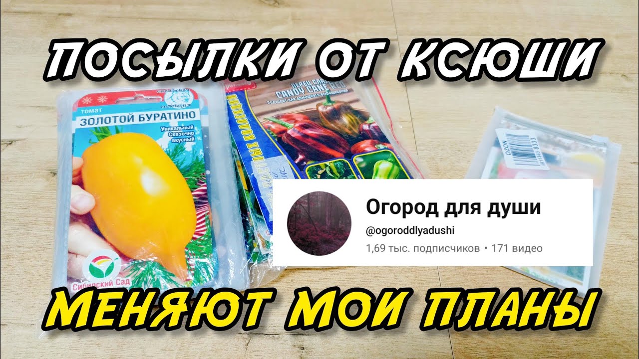 Неожиданно меняю планы посадки перцев и томатов из-за посылки от Ксюши @ogoroddlyadushi