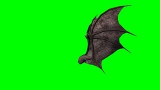 demon wings in motion - green screen animation - side view - free use
