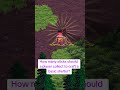 Should be an easy craft #indiegame #cosygame #survivalgame #finnish #forestambience