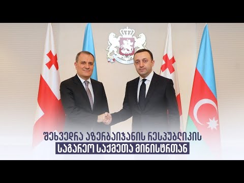 შეხვედრა აზერბაიჯანის რესპუბლიკის საგარეო საქმეთა მინისტრთან