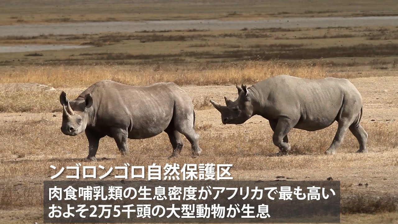 Learn about World Heritage sites while traveling (short version