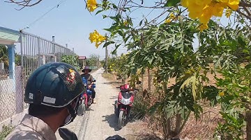 Góc 2 MT đường Ấp Xóm Mới xã tân lân cần đước  giá 1ty6 trộn sổ 1500m  lh 0986888074