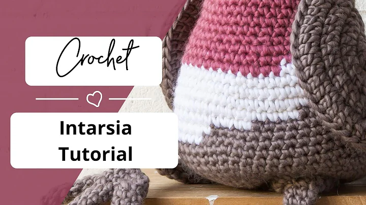 Learn Intarsia Crochet Easily