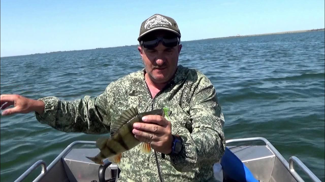 рыболовная база веселовское водохранилище. рыба в веселовском водохранилище. окунь на маныче. веселовское рыбалка. рыба в веселовском водохранилище.