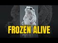 Wood Frog: The Animal That Freezes Solid and Comes Back to Life