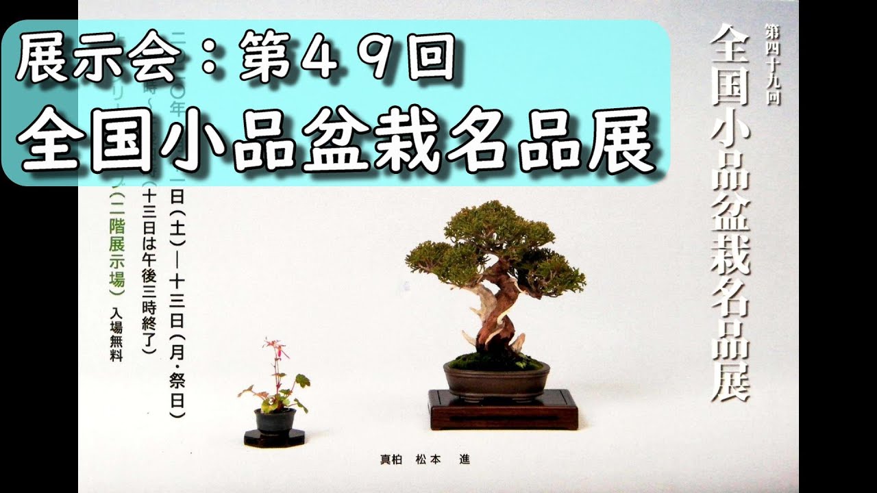 展示会：第49回全国小品盆栽名品展 - YouTube