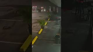 Arrastão no posto de gasolina #policiamilitar #rota #rocam #policia #policiafederal #assaltos