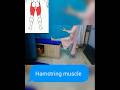 lower limb stretching #exercise #physiotherapist #stretching #exercise