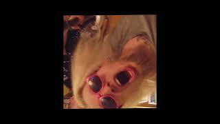 Buried In My Mind - Tartozni Valahova Budget Klip