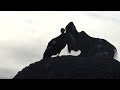 California Condors and Turkey Vultures - High Peaks - Pinnacles National Park