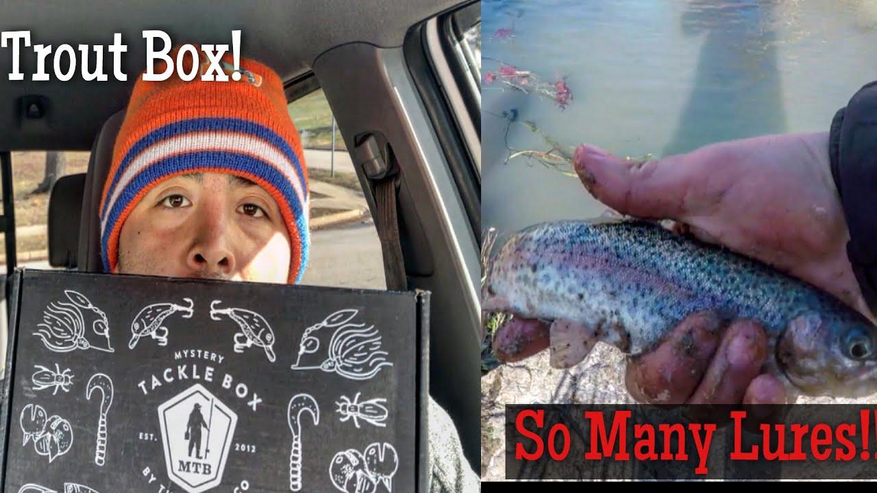 mtb trout box