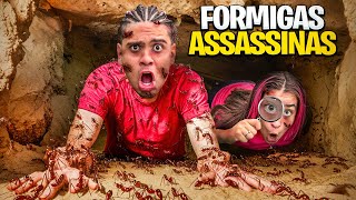 Thumbnail for ENCONTRAMOS FORMIGAS ASSASSINAS