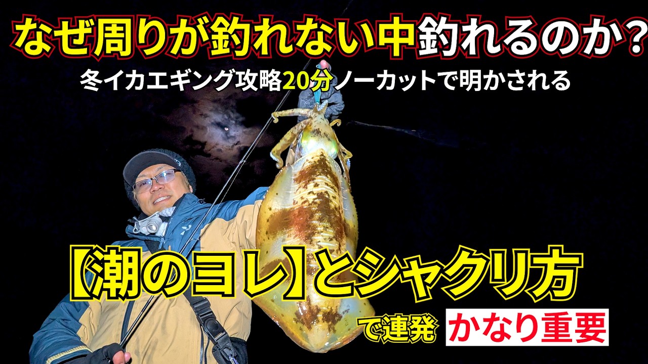 「なぜ隣の人は釣れているのか？冬イカエギング実釣20分ノーカットで明かされる『潮のヨレ』の見つけ方」で連発