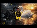 DARK SOUND Чорний лебідь історія кохання з темряви до світла ХІТ 2026 