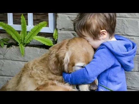 Video: Kaip palaidoti mylimą naminį gyvūnėlį