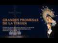 "Promesas de la Santísima Virgen a los que la honren públicamente" con el Padre Juan Rivas