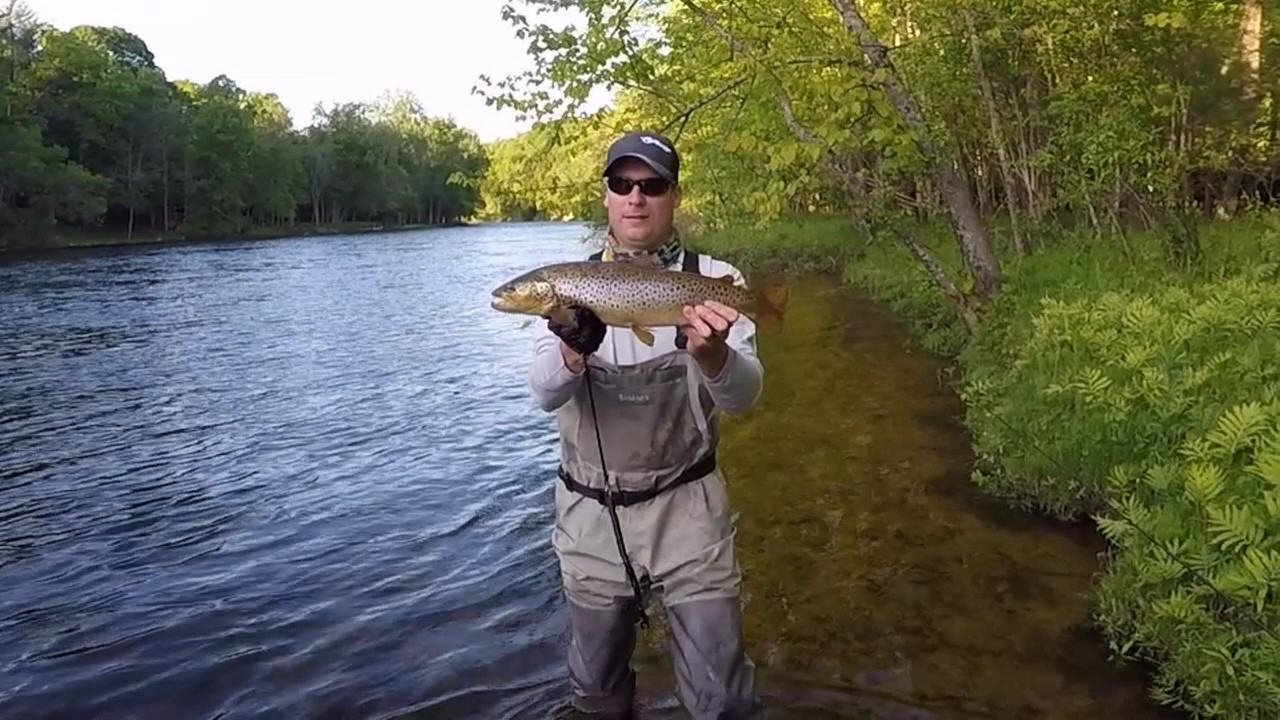 Muskegon River Brown Trout Fly Fishing YouTube