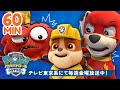 パウ・パトロール | パウ・パトロールの巨大なレスキュー特集！