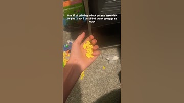 Day 32 of printing a duck per sub