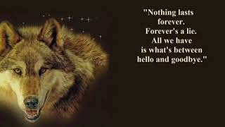 Wolf  Quotes