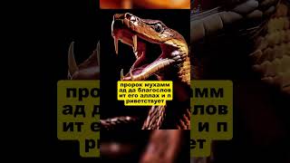 Джинны способны являться в облике змеи!