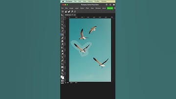 Moving Objects with Content Aware Move Tool in Photopea