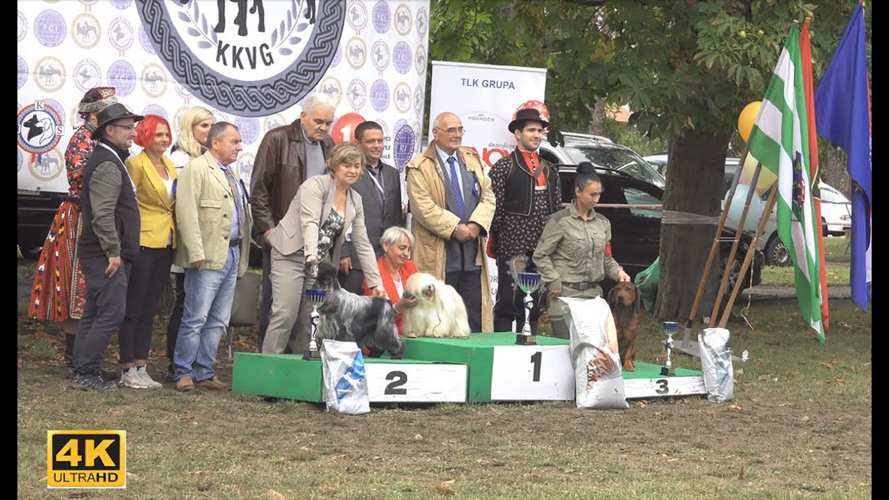 Izložba pasa CAC Velika Gorica Trophy 2021. - Dog show