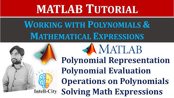 Polynomials and Mathematical Expressions in MATLAB