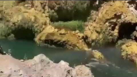 المنشاوي رحمه الله من سورة الروم ﴿فَٱنظُرۡ إِلَىٰۤ ءَاثَـٰرِ رَحۡمَتِ ٱللَّهِ   50  Rum Suresi