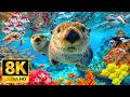 Unseen Ocean Creatures in 8K HDR | Dolby Vision™