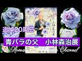 【青薔薇】青バラの父 小林森治展のお知らせ #小林森治 #とちぎ花センター